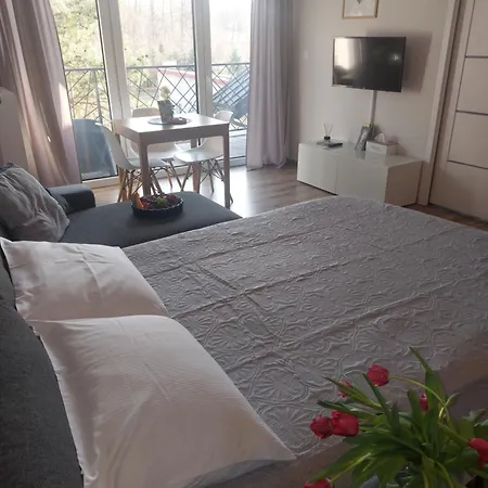 Apartamento Mr - Limba
