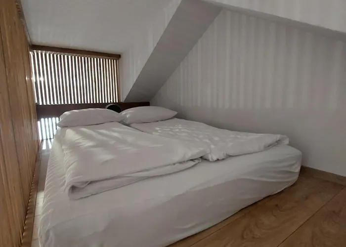 Apartment Mr - Limba *